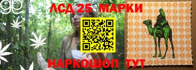 молекула духа Бузулук