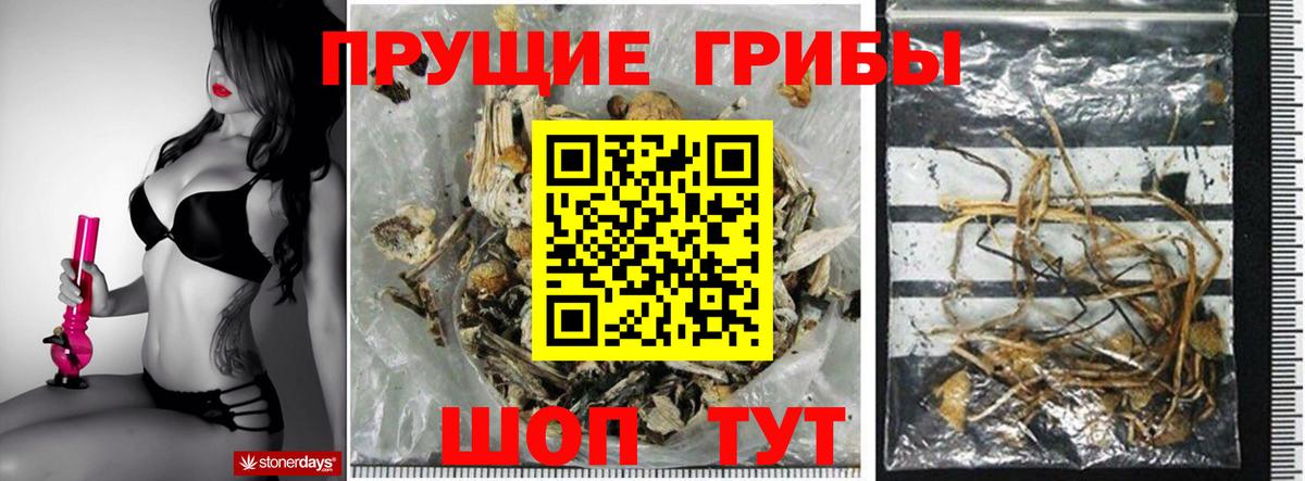 Котовск  Галлюциногенные грибы GOLDEN TEACHER  Вход с VPN 